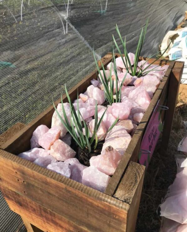 Rose quartz garden stones - Image 3